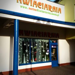 Kwiaciarnia Nerina Sanok (Sanok )