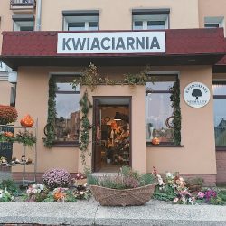 Kwiaciarnia Nie Ma Lipy K. Szczygieł (Września en Merlo San Luis)