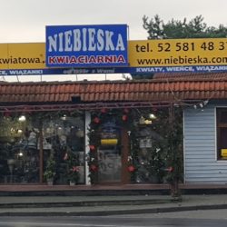 Kwiaciarnia Niebieska (Białe Błota )