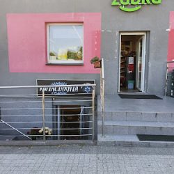 Kwiaciarnia „niebieski Kwiat I Kolce” (Gdańsk )