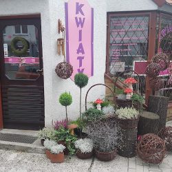 Kwiaciarnia Niespodzianka - Poczta Kwiatowa (Wrocław )