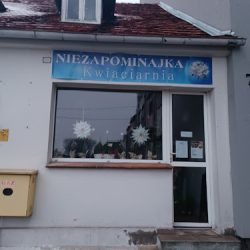 Kwiaciarnia Niezapominajka (Kiszkowo en Merlo San Luis)