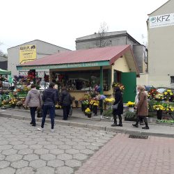 Kwiaciarnia Niezapominajka (Kraków )
