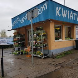 Kwiaciarnia Niezapominajka (Wrocław )