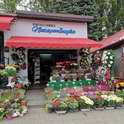 Kwiaciarnia Niezapominajka (Gdańsk )