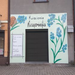 Kwiaciarnia Niezapominajka (Pilica )