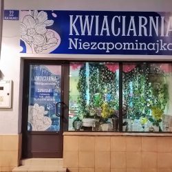 Kwiaciarnia Niezapominajka Beata Gołębiowska (Kolbuszowa )