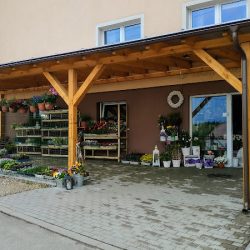 Kwiaciarnia Niezapominajka - Ewa Polak (Sulęczyno )