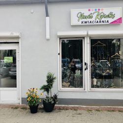 Kwiaciarnia Niezłe Kwiatki (Toruń )
