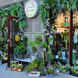 Kwiaciarnia No Ładne Kwiatki (Kraków )