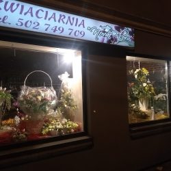 Kwiaciarnia Nova Flora (Brzeziny )