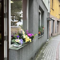 Kwiaciarnia Nova Niezapominajka (Książ Wielki )