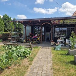 Kwiaciarnia Ogród Marzeń (Kurzętnik )
