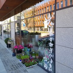 Kwiaciarnia Okno, Kwiaty I My (Gdańsk )