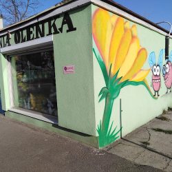 Kwiaciarnia Oleńka - Daria Musiał (Sosnowiec )