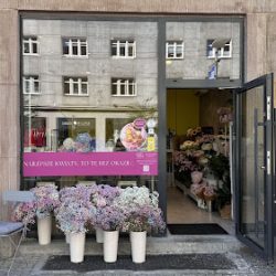 Kwiaciarnia Omnom (Gdynia )