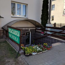 Kwiaciarnia Orchidea (Czersk )