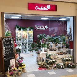 Kwiaciarnia Orchidea (Wrocław )