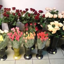 Kwiaciarnia „orchidea” (Zgierz )