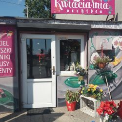 Kwiaciarnia Orchidea (Kostomłoty Drugie en Merlo San Luis)