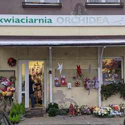 Kwiaciarnia Orchidea (Goleszów )