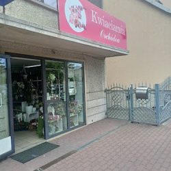 Kwiaciarnia Orchidea Brzesko (Brzesko )