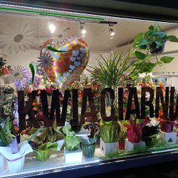Kwiaciarnia Orchidea Czechowice (Czechowice-Dziedzice )