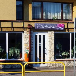 Kwiaciarnia Orchidea Elżbieta Błażejewska (Strzałkowo en Merlo San Luis)