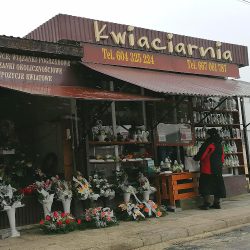 Kwiaciarnia Orchidea.franczak Katarzyna. (Tomaszów Mazowiecki )