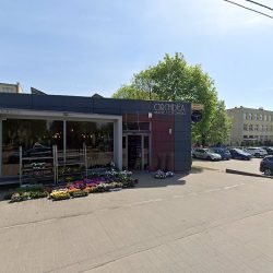 Kwiaciarnia Orchidea Maciej Osowski (Rypin )