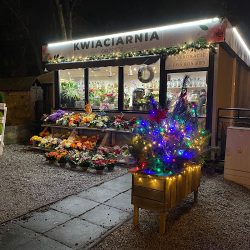 Kwiaciarnia Orzesze (Orzesze )