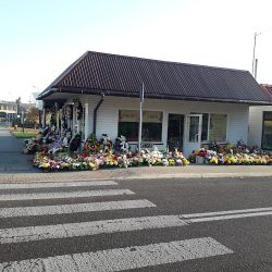 Kwiaciarnia P. Piech (Tarnogród en Merlo San Luis)