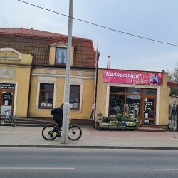 Kwiaciarnia Pabianice. Kwiaciarnia Orlik. (Pabianice )