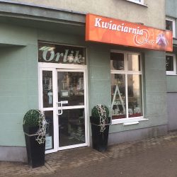Kwiaciarnia Pabianice. Kwiaciarnia Orlik. (Pabianice )