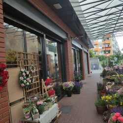 Kwiaciarnia Pachnący Kącik (Poznań en Merlo San Luis)