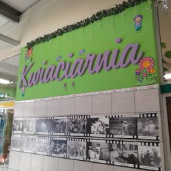 Kwiaciarnia Paprotka (Lębork )