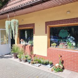 Kwiaciarnia Peonia (Kępno en Merlo San Luis)