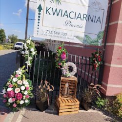 Kwiaciarnia Piwonia Zbuczyn (Zbuczyn )