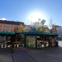 Kwiaciarnia Plac Solny (Wrocław )