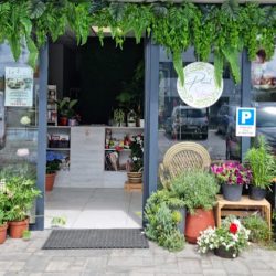 Kwiaciarnia Plantstacja (Rumia )