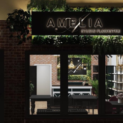 Kwiaciarnia Płońsk- Amelia Studio Florystyki (Płońsk )