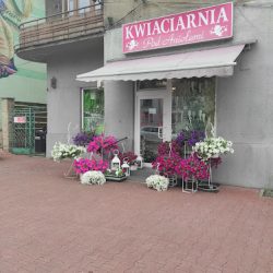 Kwiaciarnia „pod Aniołami” (Sosnowiec )