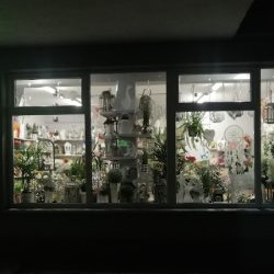 Kwiaciarnia Pod Inką (Namysłów en Merlo San Luis)