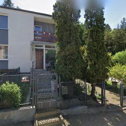Kwiaciarnia Pod Palmą (Rumia )