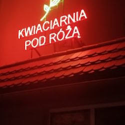 Kwiaciarnia Pod Różą (Poznań )