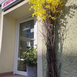Kwiaciarnia Podgórzyn Elżbieta Duniec (Podgórzyn )