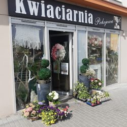 Kwiaciarnia Pokojowa (Kalisz en Merlo San Luis)