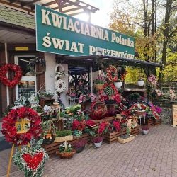 Kwiaciarnia Polanka Wołomin (Wołomin )