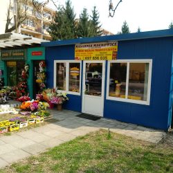 Kwiaciarnia Poranna Rosa (Przemyśl )