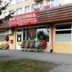 Kwiaciarnia, Poranna Rosa ,poczta Kwiatowa (Przemyśl )